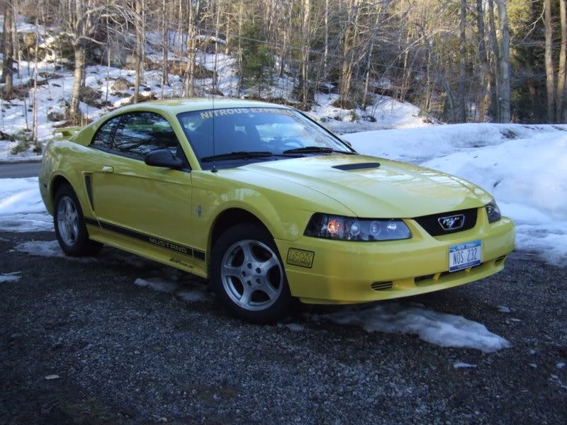 http://i43.photobucket.com/albums/e394/bigstang/DSCF0512.jpg