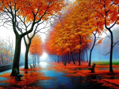 wallpapers blackberry Pictures, Images and Photos