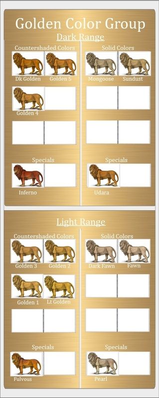 Gold Color Chart w/Fulvous photo GoldColorChartComplete_3.jpg