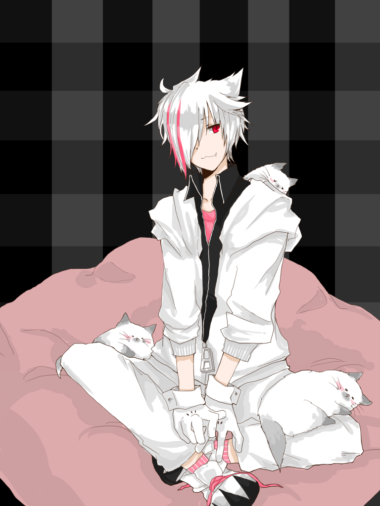 photo photo177.png