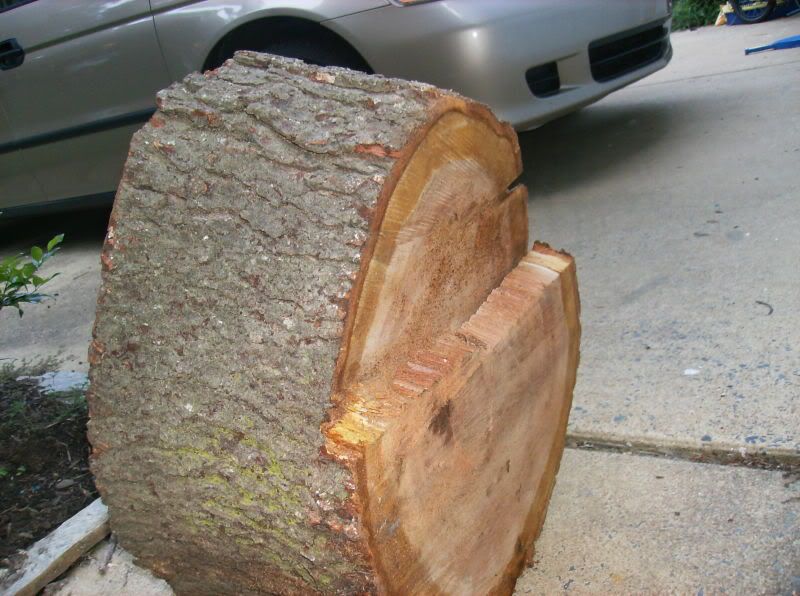 How to treat a large tree slice? NC Woodworker