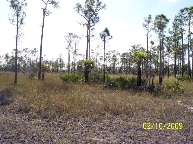 FEB1209026.jpg