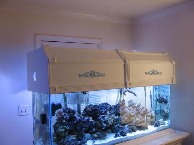 SaltWaterTank125.jpg