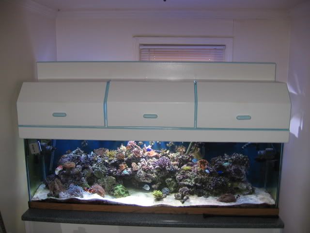 SaltWaterTank915.jpg