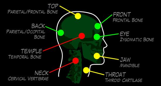 Headshot Damage Zones
