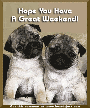 [img width=300 height=362]http://i43.photobucket.com/albums/e399/peak317/pugsweekend.gif[/img]