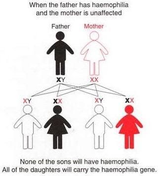 what is haemophilia