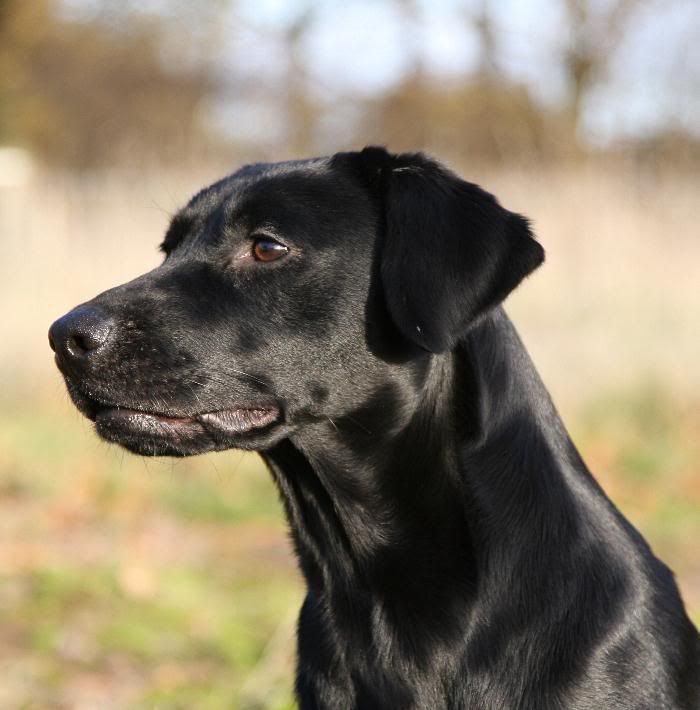 IMAGE: http://i43.photobucket.com/albums/e400/mally101/fern10.jpg