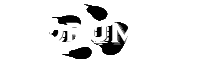 Forums