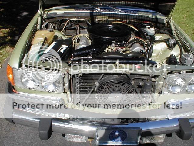 Thank you for visiting!