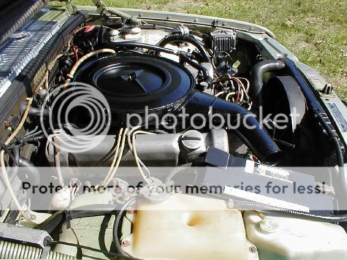 Thank you for visiting!