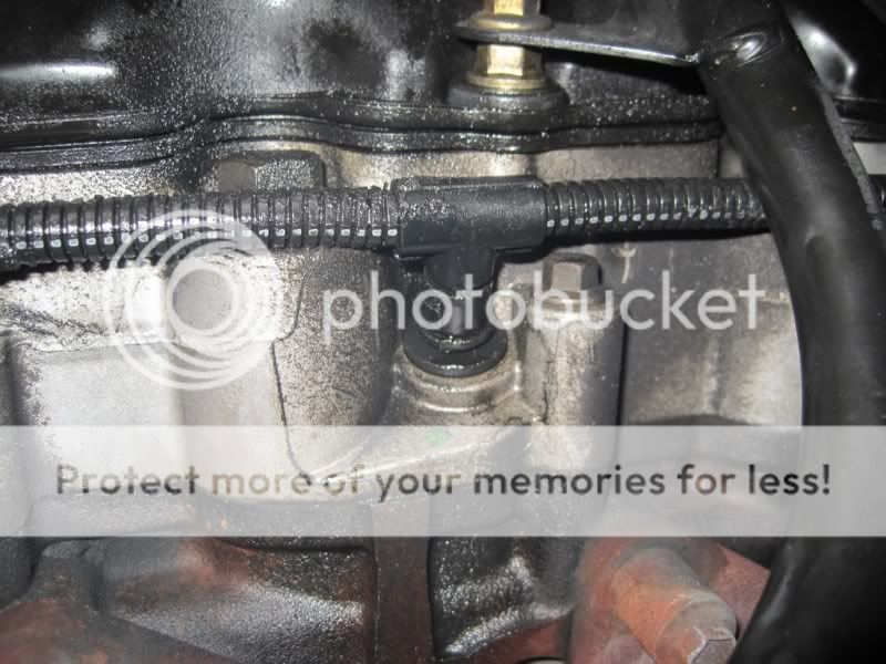 Glow Plug Harness? Leaking Oil Ford Truck Enthusiasts Forums