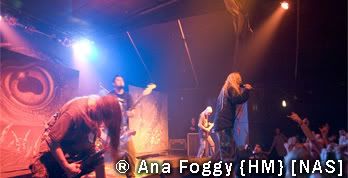 Ana Foggy {HM} [NAS]