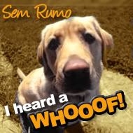 I heard a WHOOOF - Sem Rumo