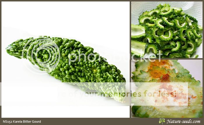 White Amaranth Pointed Leaves 